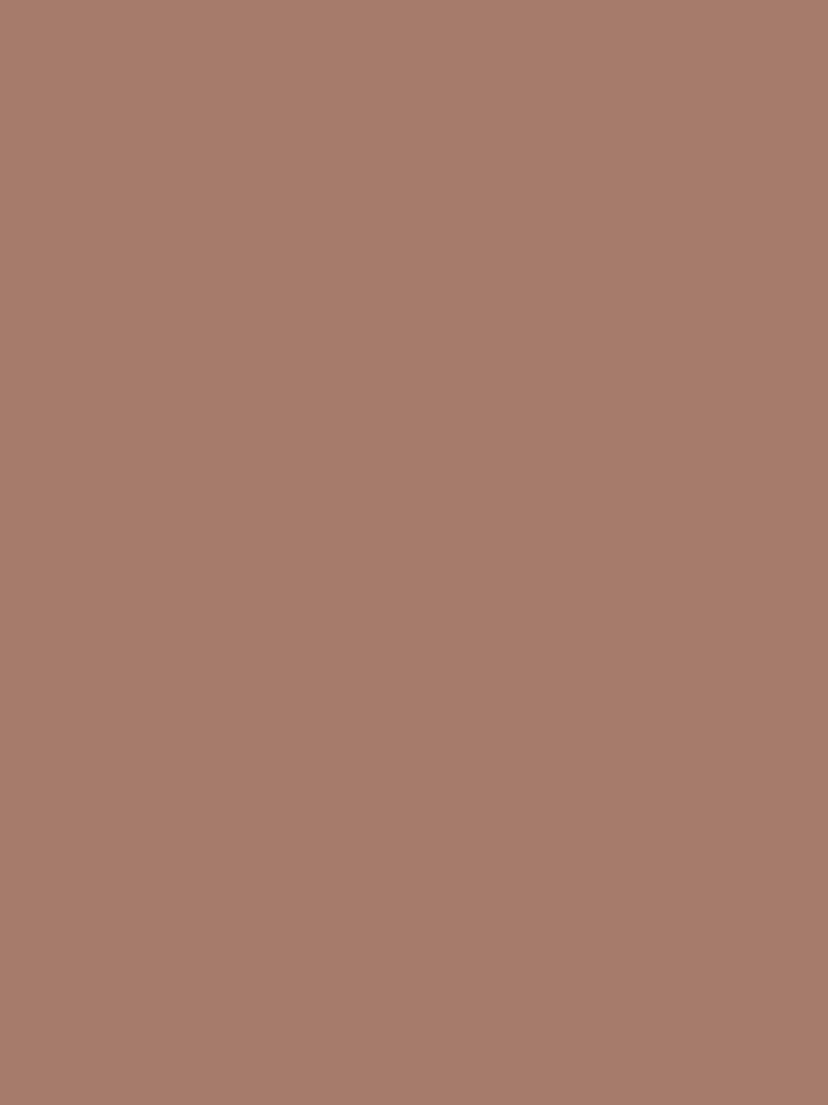 terracotta self